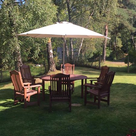 Daedalus Bed & Breakfast Muir of Ord Buitenkant foto
